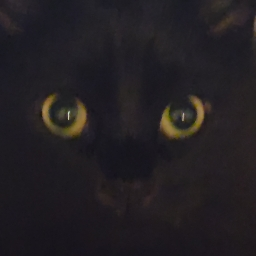GalaxyCat