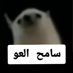 Ali974636