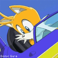 ✧ ＴＡＩＬＳ ✧